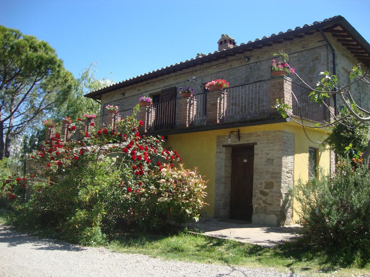 Fattoria Il Bruco Villa Pila  Bagian luar foto